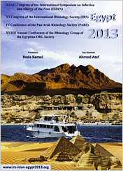 isian2013.jpg